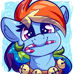 Size: 2000x2000 | Tagged: safe, artist:graphene, imported from derpibooru, rainbow dash, pegasus, pony, bell, bell collar, bells, bust, candy, candy cane, christmas, collar, cute, dashabetes, eyebrows, eyebrows visible through hair, female, food, holiday, jingle bells, mare, mouth hold, portrait, profile picture, solo