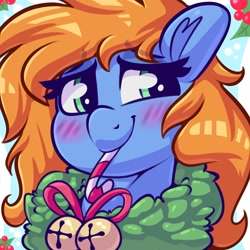 Size: 2000x2000 | Tagged: safe, artist:graphene, imported from derpibooru, oc, oc only, oc:quick trip, pony, blushing, candy, candy cane, female, food, holiday, jingle bells, mare, mouth hold, profile picture, solo