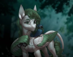 Size: 1280x992 | Tagged: safe, artist:basilllisk, imported from derpibooru, oc, oc only, bird, blue jay, pegasus, pony, binoculars, commission, digital art, forest, solo, tail, tree, wings