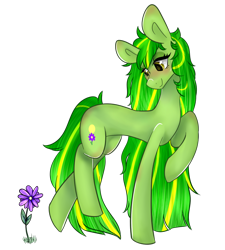 Size: 900x1000 | Tagged: safe, artist:frogabuse, imported from derpibooru, oc, oc only, oc:margin growth, earth pony, pony, blushing, female, flower, mare, side view, simple background, sleek pony, solo, transparent background, trotting