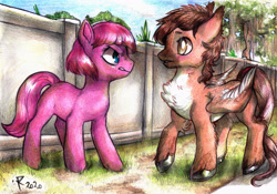 Size: 4951x3464 | Tagged: safe, artist:furiarossaandmimma, imported from derpibooru, oc, oc only, oc:dolce mocha, oc:violet petal, earth pony, pegasus, pony, background, blank flank, blushing, female, fence, flirting, glare, looking at each other, male, mare, outdoors, shipping, stallion, standing, straight, surprised, traditional art, tree, unshorn fetlocks