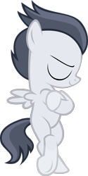 Size: 2168x4327 | Tagged: safe, artist:red4567, edit, editor:slayerbvc, imported from derpibooru, vector edit, rumble, pegasus, pony, bipedal, coat markings, colt, crossed arms, crossed legs, forelegs crossed, male, simple background, socks (coat marking), socks (coat markings), solo, transparent background, underhoof, vector