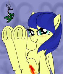 Size: 3400x4000 | Tagged: safe, artist:littlenaughtypony, imported from derpibooru, part of a set, oc, oc only, oc:nova, pegasus, pony, blushing, commission, fetish, frog (hoof), hoof fetish, looking at you, mistleholly, mistletoe, solo, underhoof, ych result