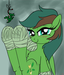 Size: 3400x4000 | Tagged: safe, artist:littlenaughtypony, imported from derpibooru, part of a set, oc, oc only, oc:windy barebow evergreen, pegasus, pony, blushing, commission, female, fetish, frog (hoof), hoof fetish, hoof wraps, leg wraps, looking at you, mare, mistleholly, mistletoe, solo, underhoof, ych result