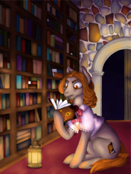 Size: 967x1280 | Tagged: safe, artist:sugar lollipop, imported from derpibooru, oc, oc only, oc:booky, earth pony, pony, book, bookshelf, complex background, digital art, digital painting, female, lantern, library, reading, request, requested art, serious, serious face, sitting, solo