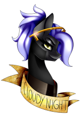 Size: 1054x1600 | Tagged: safe, artist:minelvi, imported from derpibooru, oc, oc only, oc:cloudy night, earth pony, pony, bust, earth pony oc, eyelashes, simple background, solo, transparent background