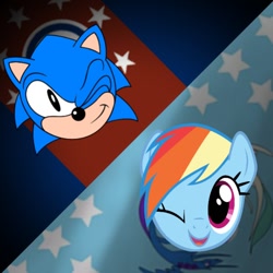 Size: 768x768 | Tagged: safe, artist:felix lynn, artist:thatradhedgehog, imported from derpibooru, rainbow dash, pegasus, crossover, crossover shipping, equestria flag, equestrian flag, female, male, shipping, sonic the hedgehog, sonic the hedgehog (series), sonicdash, straight