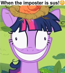 Size: 780x872 | Tagged: safe, edit, edited screencap, imported from derpibooru, screencap, constance, twilight sparkle, bird, pony, unicorn, lesson zero, amogus, among us, crazy smile, faic, female, grin, insanity, jerma, jerma985, mare, meme, nest, ponified meme, shitposting, slasher smile, smiling, solo, solo focus, songbird, sus (among us), sus jerma, twilight snapple, unicorn twilight, when the imposter is sus! 😳, 😳