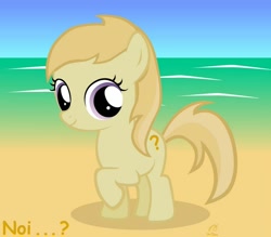 Size: 900x787 | Tagged: safe, artist:otherunicorn, imported from derpibooru, noi, earth pony, pony, beach, comic sans, cutie mark, female, filly, ocean, question mark, raised hoof, smiling, text
