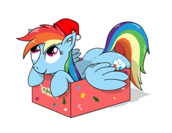 Size: 2391x1845 | Tagged: safe, artist:eels, imported from derpibooru, imported from ponybooru, rainbow dash, pegasus, pony, box, christmas, cute, cutie mark, ear fluff, hat, holiday, if i fits i sits, magenta eyes, pony in a box, present, santa hat, simple background, smiling, wings