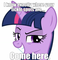 Size: 998x1034 | Tagged: safe, imported from derpibooru, twilight sparkle, pony, unicorn, bronybait, caption, evil grin, grin, imminent tickles, implied tickling, looking at you, meme, smiling, smirk, solo, text, this will end in tickles