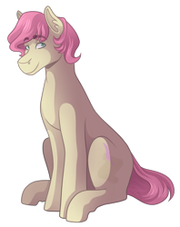 Size: 2300x2900 | Tagged: safe, artist:kikirdcz, imported from derpibooru, oc, oc only, oc:parker, earth pony, pony, looking at you, male, simple background, smiling, solo, stallion, transparent background