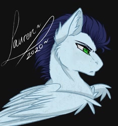 Size: 831x889 | Tagged: safe, artist:shadowdash44, imported from derpibooru, soarin', bust, portrait