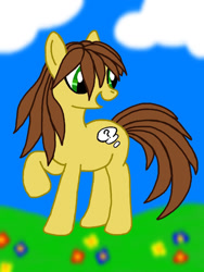 Size: 768x1024 | Tagged: safe, artist:agentkit95, imported from derpibooru, oc, oc only, earth pony, pony, cloud, earth pony oc, flower, grass, looking back, raised hoof, solo