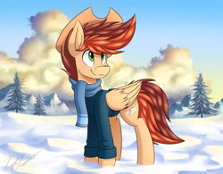 Size: 3200x2500 | Tagged: safe, artist:kaylerustone, imported from derpibooru, oc, oc only, oc:kayle rustone, pegasus, pony, clothes, cloud, dawn, looking up, male, mountain, scarf, signature, snow, stallion, sweater, tree