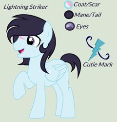 Size: 2397x2502 | Tagged: safe, artist:lominicinfinity, imported from derpibooru, oc, oc only, oc:lightning striker, pegasus, pony, male, reference sheet, scar, simple background, solo, stallion