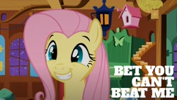 Size: 1920x1080 | Tagged: safe, edit, edited screencap, editor:quoterific, imported from derpibooru, screencap, fluttershy, pony, stare master, solo