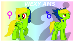 Size: 1024x576 | Tagged: safe, artist:amgiwolf, imported from derpibooru, oc, oc only, oc:viexy ams, pegasus, pony, duo, eyelashes, female, looking back, male, mare, pegasus oc, raised hoof, rule 63, self ponidox, simple background, stallion, transparent background, wings