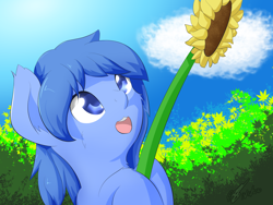 Size: 2048x1536 | Tagged: safe, artist:icy wings, imported from derpibooru, imported from ponybooru, oc, oc only, oc:frost soar, pegasus, pony, flower, happy, looking up, open mouth, smiling, solo, sunflower