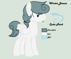 Size: 6232x5144 | Tagged: safe, artist:lominicinfinity, imported from derpibooru, oc, oc only, oc:winter breeze, pegasus, pony, absurd resolution, male, reference sheet, simple background, solo, stallion