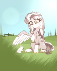 Size: 800x1000 | Tagged: safe, artist:osukel, imported from derpibooru, oc, oc:western florence, pony