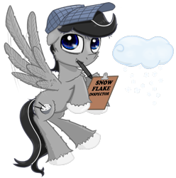 Size: 1833x1850 | Tagged: safe, artist:chopsticks, derpibooru exclusive, imported from derpibooru, oc, oc only, oc:chopsticks, pegasus, pony, derpibooru community collaboration, 2021 community collab, cheek fluff, chest fluff, clipboard, cloud, flying, hat, looking at you, male, mouth hold, pen, simple background, snow, snowfall, solo, stallion, transparent background, unshorn fetlocks