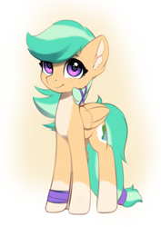 Size: 1699x2399 | Tagged: safe, artist:freeedon, imported from derpibooru, oc, oc only, oc:summer ray, pegasus, pony, coat markings, colored pinnae, ear fluff, looking at you, pale belly, smiling, socks (coat markings), solo