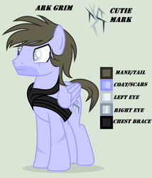 Size: 1300x1520 | Tagged: safe, artist:lominicinfinity, imported from derpibooru, oc, oc only, oc:ark grim, pegasus, pony, male, reference sheet, simple background, solo, stallion
