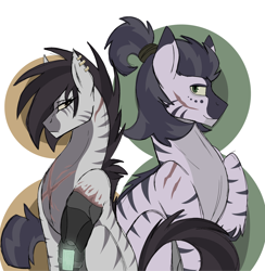 Size: 2584x2647 | Tagged: safe, artist:besomb1tch, imported from derpibooru, oc, oc only, cyborg, zebra, fallout equestria, duo, female, foe, male, scar, zebra oc