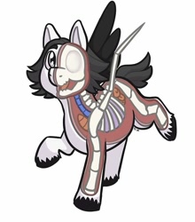 Size: 750x853 | Tagged: safe, artist:verikoira, imported from derpibooru, oc, oc only, oc:monochrome heart, pegasus, pony, dissectibles, female, looking at you, mare, organs, simple background, solo, white background