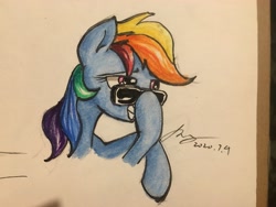 Size: 4032x3024 | Tagged: safe, artist:musical ray, imported from derpibooru, rainbow dash, pegasus, pony, 20% cooler, female, solo, solo female, sunglasses, traditional art