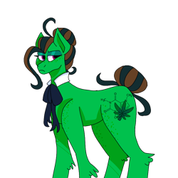 Size: 768x768 | Tagged: safe, artist:icantaert, imported from derpibooru, oc, oc only, earth pony, pony, earth pony oc, simple background, solo, transparent background