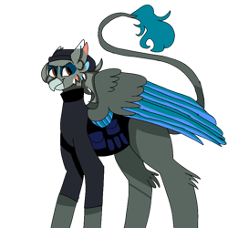 Size: 768x768 | Tagged: safe, artist:icantaert, imported from derpibooru, oc, oc only, griffon, beanie, clothes, griffon oc, hat, simple background, solo, transparent background