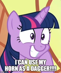 Size: 500x603 | Tagged: safe, edit, edited screencap, editor:twi clown, imported from derpibooru, screencap, twilight sparkle, alicorn, pony, school daze, season 8, spoiler:s08, captain obvious, caption, cheek squish, cropped, excited, faic, female, grin, happy, horn, image macro, imgflip, imminent death, imminent murder, implied horn impalement, mare, smiling, solo, squee, squishy cheeks, text, this will end in murder, twilight sparkle (alicorn), wide eyes