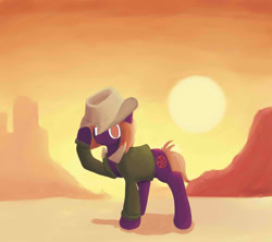 Size: 1800x1600 | Tagged: safe, artist:srbolsa, imported from derpibooru, oc, oc only, earth pony, pony, desert, hat, solo, sun