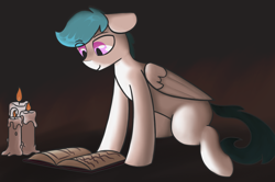 Size: 1584x1054 | Tagged: safe, artist:aripegio, imported from derpibooru, oc, oc only, oc:file folder, pegasus, pony, book, candle, candlelight, horsin' around, solo