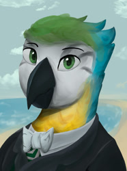 Size: 1280x1724 | Tagged: safe, artist:monx94, imported from derpibooru, oc, oc only, bird, parrot, equestria at war mod, brazil, bust, looking at you, not pony related, portrait, simple background, solo