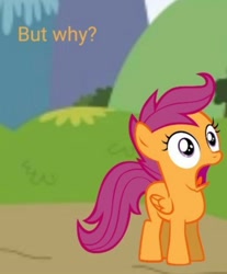 Size: 717x866 | Tagged: artist needed, safe, imported from derpibooru, scootaloo, pegasus, pony, but why, caption, female, filly, juxtaposition, juxtaposition bait, juxtaposition win, meme, meta, open mouth, reaction image, shocked, solo, text, toilet