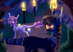 Size: 3512x2512 | Tagged: safe, artist:honeybbear, imported from derpibooru, oc, oc only, earth pony, pony, female, mare, night