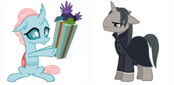 Size: 648x318 | Tagged: safe, artist:andoanimalia, edit, imported from derpibooru, vector edit, ocellus, professor flintheart, changeling, pony, unicorn, derpibooru, a hearth's warming tail, the hearth's warming club, clothes, female, juxtaposition, male, meta, severus snape, simple background, stallion, transparent background, vector