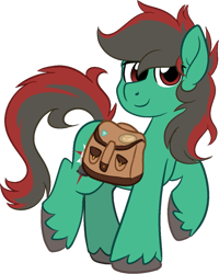 Size: 959x1200 | Tagged: safe, artist:binkyt11, derpibooru exclusive, imported from derpibooru, oc, oc only, oc:forest farseer, earth pony, pony, derpibooru community collaboration, 2021 community collab, bag, balancing, looking at you, male, raised hoof, saddle bag, simple background, solo, stallion, transparent background, unshorn fetlocks