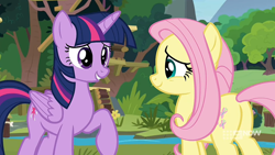 Size: 1920x1080 | Tagged: safe, imported from derpibooru, screencap, fluttershy, twilight sparkle, alicorn, pegasus, pony, memnagerie, spoiler:memnagerie, spoiler:mlp friendship is forever, butt, cute, duo, duo female, female, flower, flutterbutt, folded wings, grin, gritted teeth, mare, outdoors, plot, raised hoof, river, shyabetes, smiling, sweet feather sanctuary, twilight sparkle (alicorn), water, wings