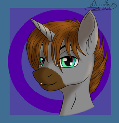 Size: 2000x2056 | Tagged: safe, artist:di-ji-hooves, imported from derpibooru, oc, oc:sergey world, oc:sergeyworld, alicorn, pony, arts and crafts, brony, bust, character, commission, male, portrait