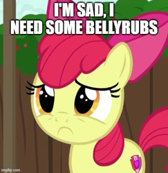 Size: 500x515 | Tagged: safe, edit, edited screencap, editor:twi clown, imported from derpibooru, screencap, apple bloom, earth pony, pony, season 6, the cart before the ponies, :c, bow, bronybait, caption, cropped, cutie mark, female, frown, image macro, imgflip, mare, sad, solo, text, the cmc's cutie marks