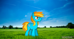 Size: 4831x2548 | Tagged: safe, artist:indonesiarailroadpht, artist:ponyrailartist, imported from derpibooru, oc, oc only, oc:4everfreebrony, earth pony, pony, grass, grass field, irl, male, photo, ponies in real life, show accurate, solo, stallion