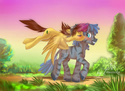 Size: 800x582 | Tagged: safe, artist:imanika, imported from derpibooru, oc, oc only, pegasus, pony, zebra, 2013, cutie mark, digital art, duo, eyes closed, female, floppy ears, flying, goggles, kissing, looking back, male, mare, smiling, spread wings, stallion, sunset, tail, walking, wings, zebra oc