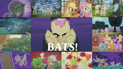 Size: 1986x1117 | Tagged: safe, edit, edited screencap, editor:quoterific, imported from derpibooru, screencap, applejack, fluttershy, pinkie pie, rainbow dash, rarity, spike, twilight sparkle, alicorn, bat, bat pony, earth pony, fruit bat, pegasus, pony, unicorn, vampire fruit bat, bats!, season 4, apple, apple tree, bat ponified, female, flutterbat, food, golden oaks library, hazmat suit, mane six, mare, race swap, tree, twilight sparkle (alicorn)