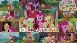 Size: 1986x1117 | Tagged: safe, edit, edited screencap, editor:quoterific, imported from derpibooru, screencap, apple bloom, applejack, big macintosh, goldie delicious, granny smith, pinkie pie, twilight sparkle, pinkie apple pie, apples to the core, book, cart, collage, golden oaks library, pr, raft, scroll