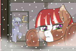 Size: 1280x859 | Tagged: safe, artist:jolliapplegirl, imported from derpibooru, limestone pie, oc, oc:chocolate cheesecake, earth pony, pony, colt, hearth's warming eve, male, next generation, offspring, parent:pinkie pie, snow, window