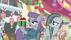 Size: 1920x1080 | Tagged: safe, imported from derpibooru, screencap, marble pie, maud pie, earth pony, pony, best gift ever, duo, female, mare, pie sisters, present, siblings, sisters